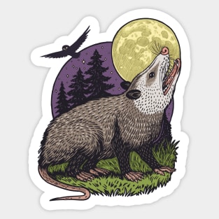 Opossum At Night Sticker